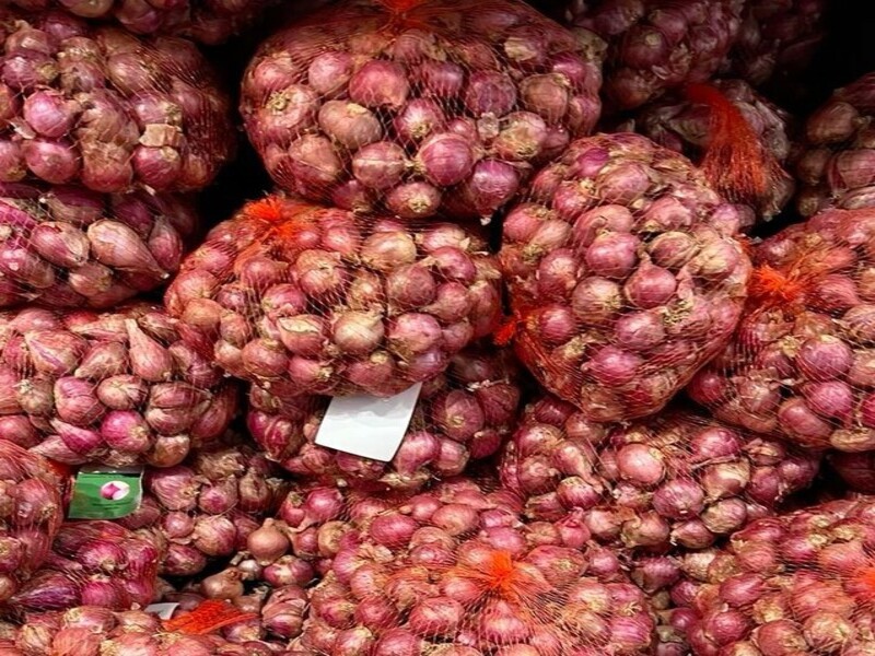 peluang ekspor bawang merah