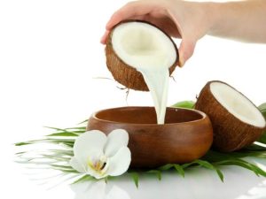 ide usaha kelapa kekinian