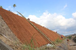 Edukasi penggunaan cocomesh sabut kelapa