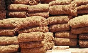 peran cocomesh menjaga keseimbangan alam