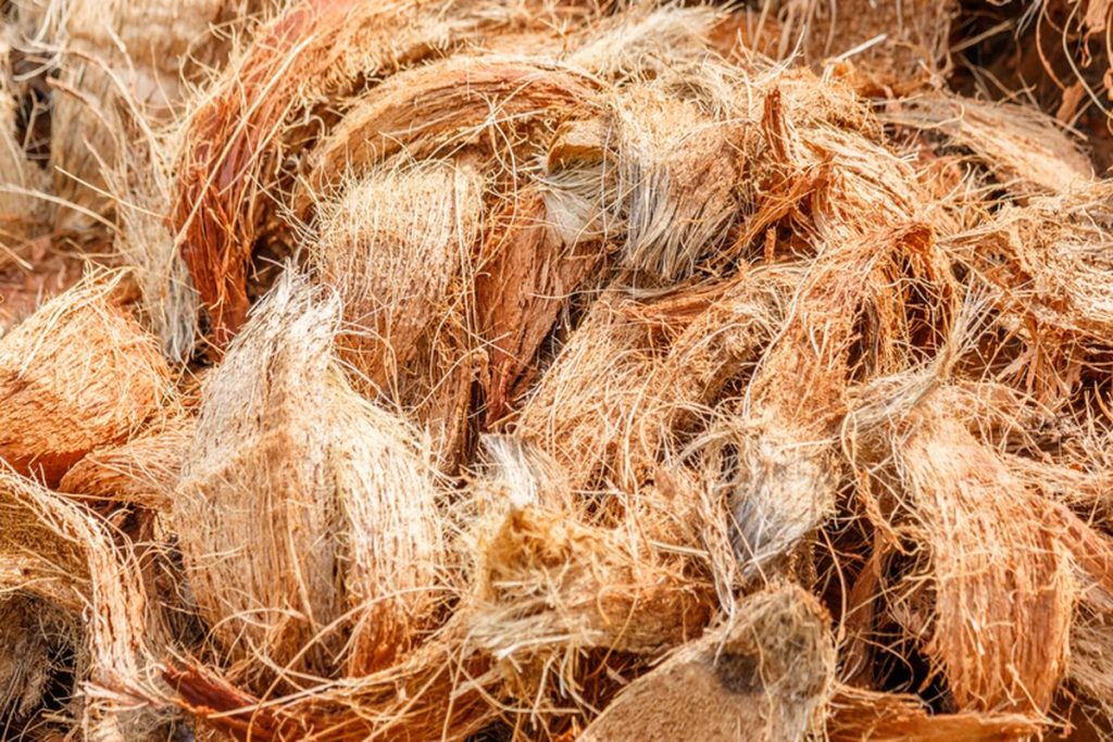 sabut kelapa dalam sistem biofilter pesisir