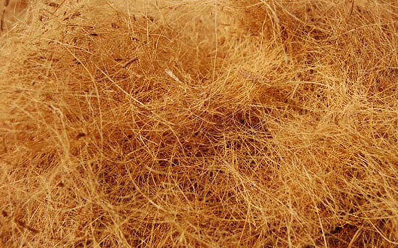 Proses Pembuatan Serat Coco Fiber