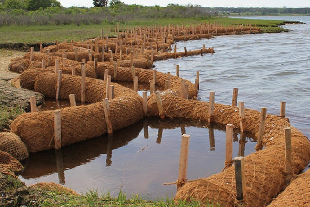 Keunggulan Cocomesh dalam Pemulihan Lahan