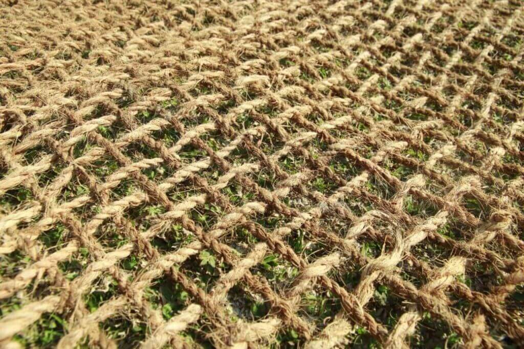 Seni dan Sains Kreatif Menggunakan Cocomesh