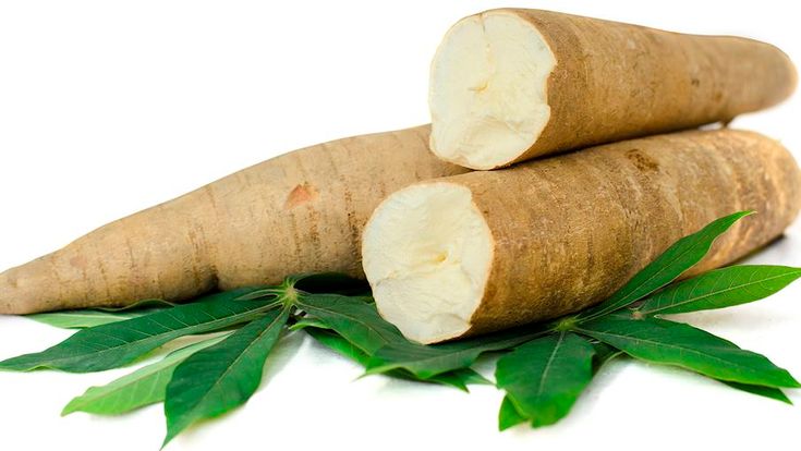 analisa keuntungan keripik singkong