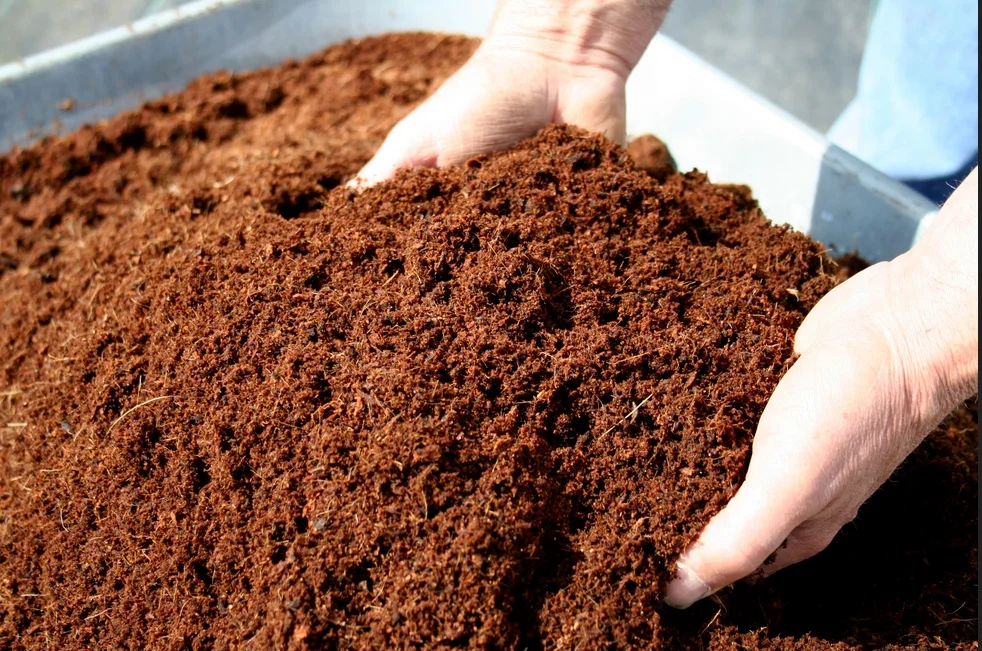 Sabut kelapa sebagai media filtrasi nutrisi tanah