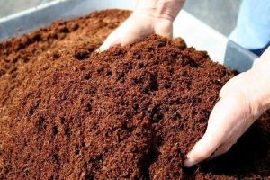 Bisnis Cocopeat Skala Rumahan