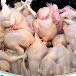 cara merontokkan bulu ayam tanpa ribet