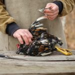 cara cepat mencabut bulu ayam