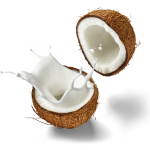 Mesin Parut Kelapa untuk Santan