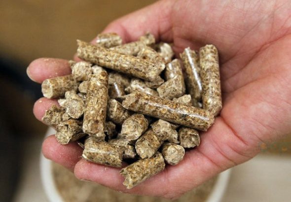 Peluang ekspor wood pellet berkualitas