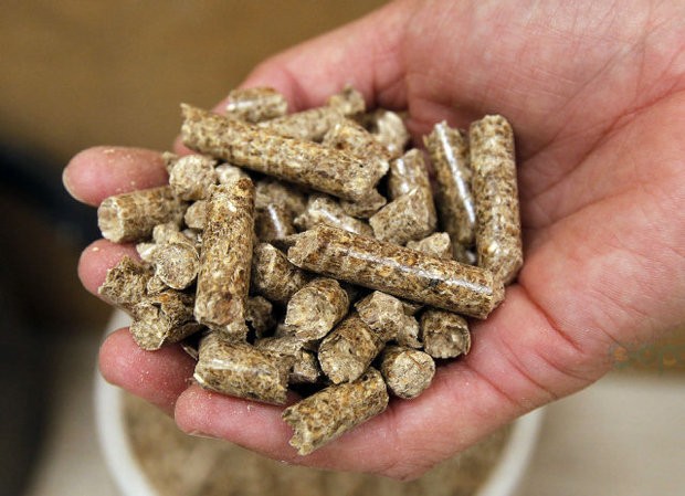 Peluang ekspor wood pellet berkualitas