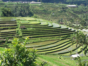 pembuatan-saluran-pembuangan-air-alami