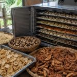 cara mengeringkan makanan awet