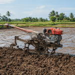 kapan waktu tepat membajak sawah