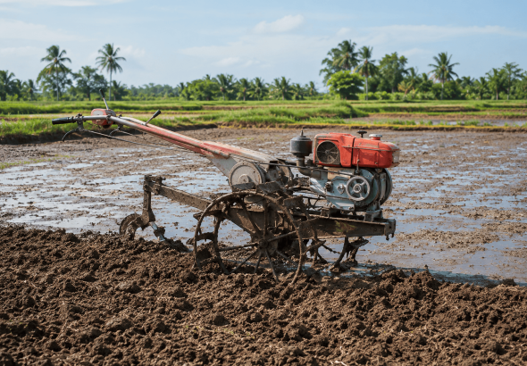 kapan waktu tepat membajak sawah