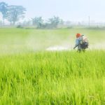 cara menyemprot tanaman lebih cepat
