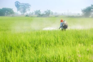 cara menyemprot tanaman lebih cepat
