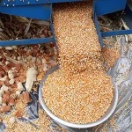 cara mengatasi proses pemipilan tidak optimal
