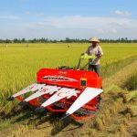 cara meningkatkan produktivitas padi